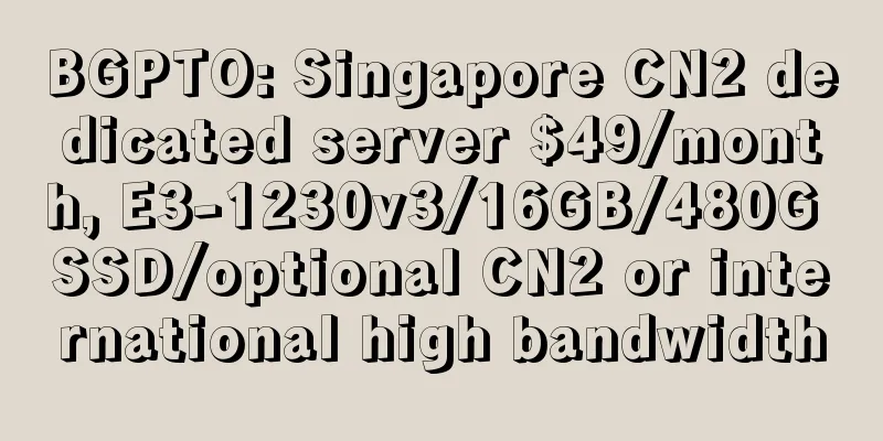 BGPTO: Singapore CN2 dedicated server $49/month, E3-1230v3/16GB/480G SSD/optional CN2 or international high bandwidth