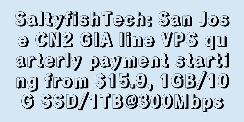 SaltyfishTech: San Jose CN2 GIA line VPS quarterly payment starting from $15.9, 1GB/10G SSD/1TB@300Mbps