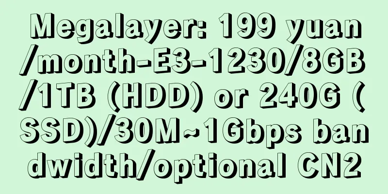 Megalayer: 199 yuan/month-E3-1230/8GB/1TB (HDD) or 240G (SSD)/30M~1Gbps bandwidth/optional CN2