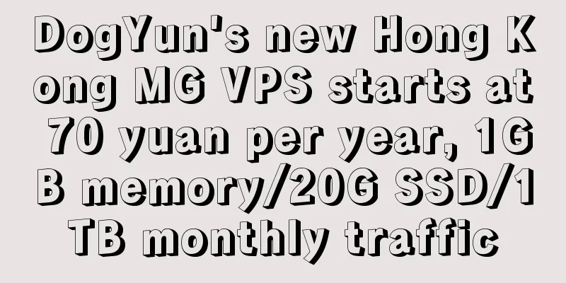 DogYun's new Hong Kong MG VPS starts at 70 yuan per year, 1GB memory/20G SSD/1TB monthly traffic