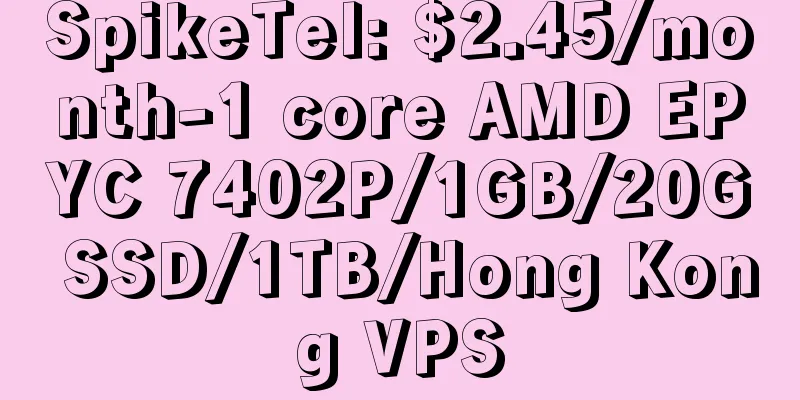 SpikeTel: $2.45/month-1 core AMD EPYC 7402P/1GB/20G SSD/1TB/Hong Kong VPS