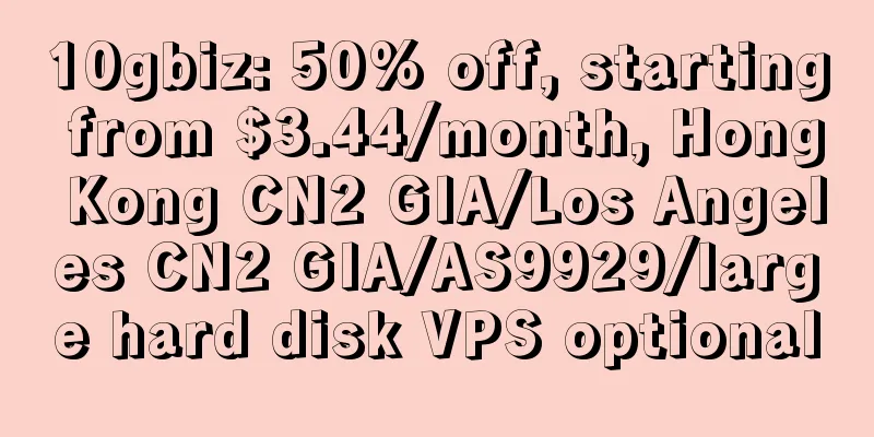 10gbiz: 50% off, starting from $3.44/month, Hong Kong CN2 GIA/Los Angeles CN2 GIA/AS9929/large hard disk VPS optional