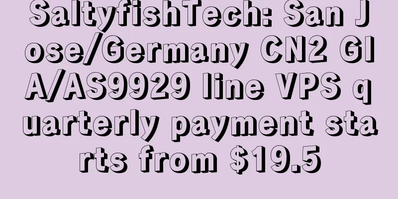 SaltyfishTech: San Jose/Germany CN2 GIA/AS9929 line VPS quarterly payment starts from $19.5