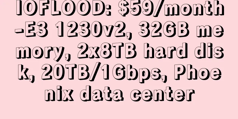 IOFLOOD: $59/month-E3 1230v2, 32GB memory, 2x8TB hard disk, 20TB/1Gbps, Phoenix data center