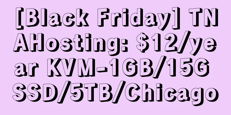 [Black Friday] TNAHosting: $12/year KVM-1GB/15G SSD/5TB/Chicago
