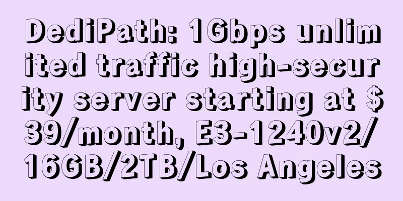 DediPath: 1Gbps unlimited traffic high-security server starting at $39/month, E3-1240v2/16GB/2TB/Los Angeles