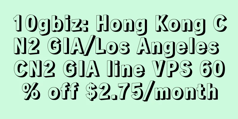 10gbiz: Hong Kong CN2 GIA/Los Angeles CN2 GIA line VPS 60% off $2.75/month