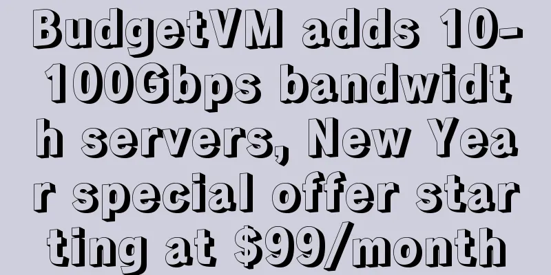 BudgetVM adds 10-100Gbps bandwidth servers, New Year special offer starting at $99/month