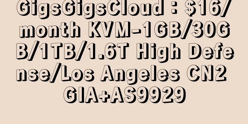 GigsGigsCloud：$16/month KVM-1GB/30GB/1TB/1.6T High Defense/Los Angeles CN2 GIA+AS9929