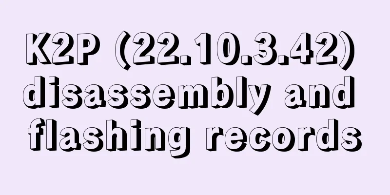 K2P (22.10.3.42) disassembly and flashing records