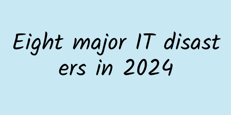 Eight major IT disasters in 2024