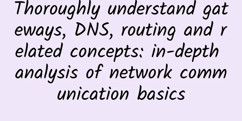 Thoroughly understand gateways, DNS, routing and related concepts: in-depth analysis of network communication basics