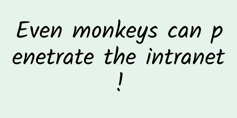 Even monkeys can penetrate the intranet!