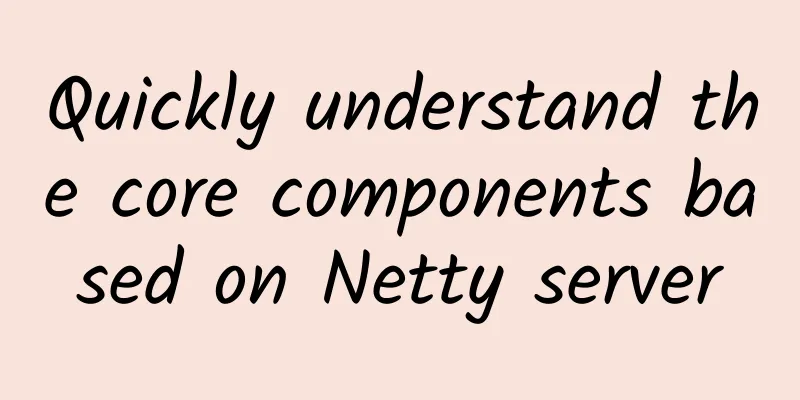 Quickly understand the core components based on Netty server