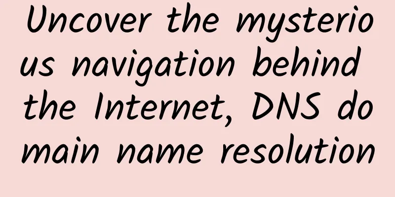 Uncover the mysterious navigation behind the Internet, DNS domain name resolution