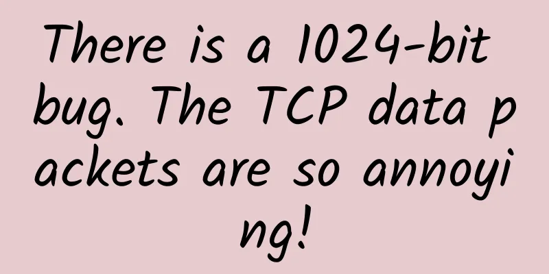 There is a 1024-bit bug. The TCP data packets are so annoying!