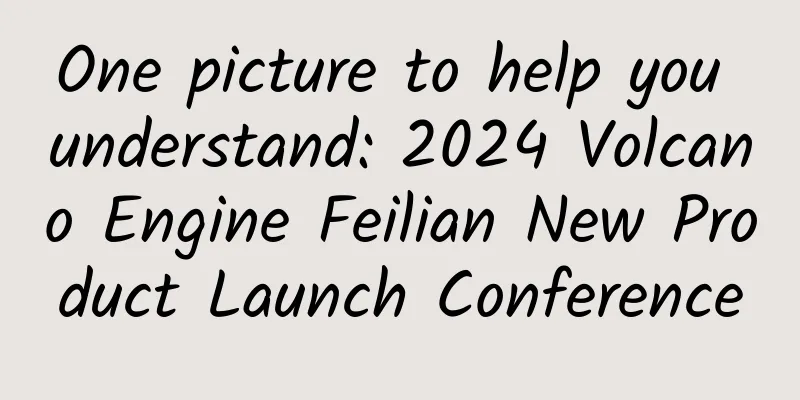 One picture to help you understand: 2024 Volcano Engine Feilian New Product Launch Conference
