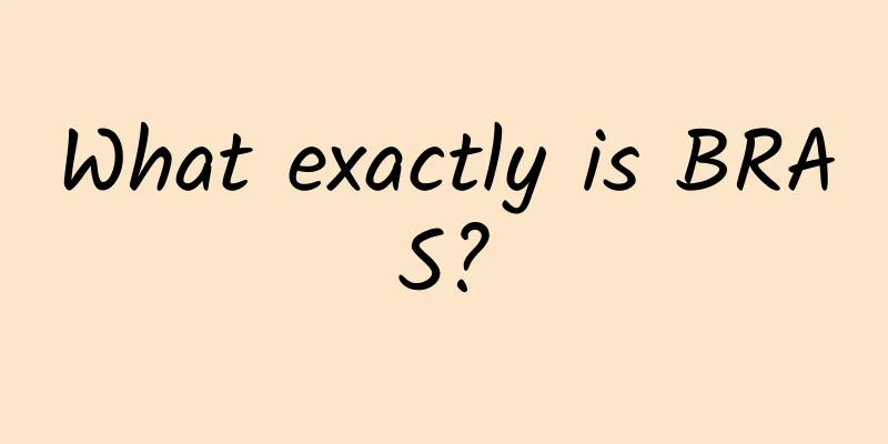 What exactly is BRAS?