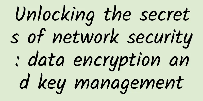 Unlocking the secrets of network security: data encryption and key management