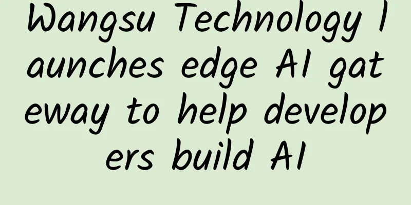 Wangsu Technology launches edge AI gateway to help developers build AI