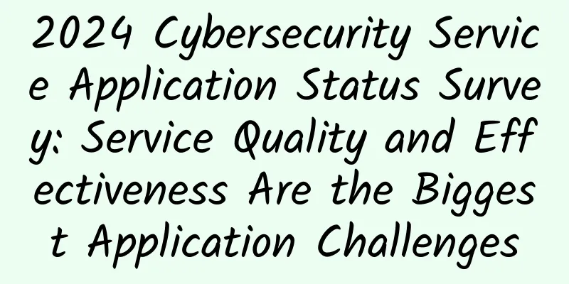 2024 Cybersecurity Service Application Status Survey: Service Quality and Effectiveness Are the Biggest Application Challenges
