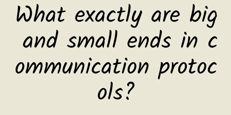 What exactly are big and small ends in communication protocols?