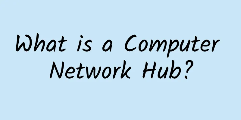 What is a Computer Network Hub?