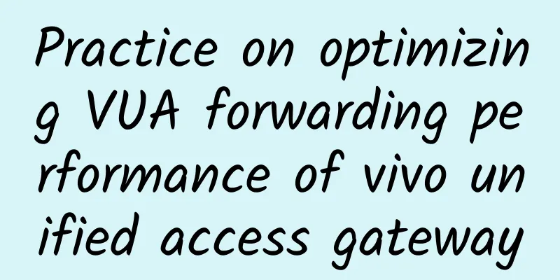 Practice on optimizing VUA forwarding performance of vivo unified access gateway
