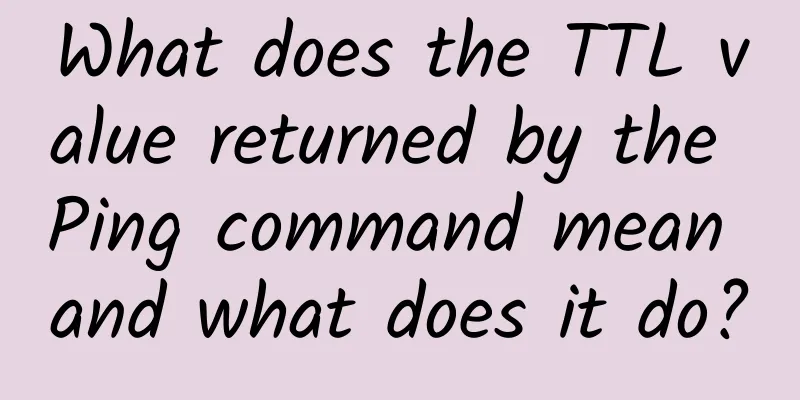 What does the TTL value returned by the Ping command mean and what does it do?