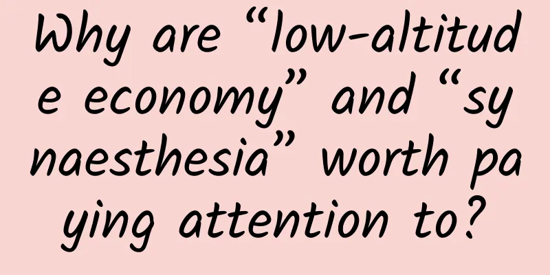 Why are “low-altitude economy” and “synaesthesia” worth paying attention to?