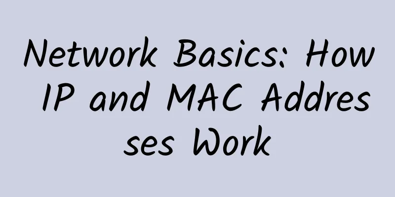 Network Basics: How IP and MAC Addresses Work