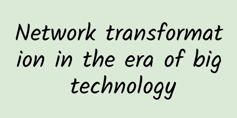 Network transformation in the era of big technology