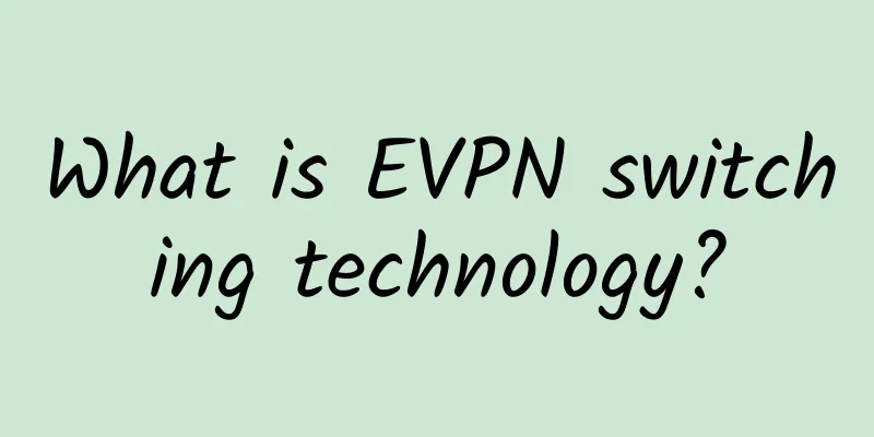 What is EVPN switching technology?