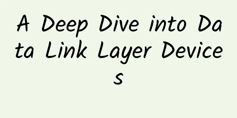 A Deep Dive into Data Link Layer Devices