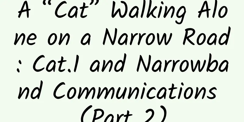 A “Cat” Walking Alone on a Narrow Road: Cat.1 and Narrowband Communications (Part 2)