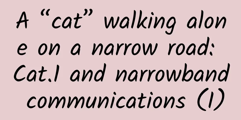 A “cat” walking alone on a narrow road: Cat.1 and narrowband communications (I)