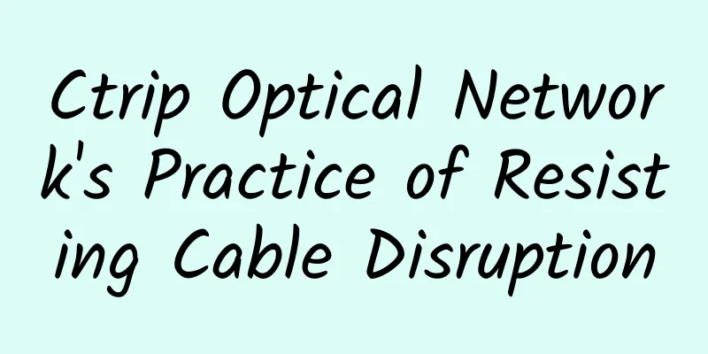 Ctrip Optical Network's Practice of Resisting Cable Disruption