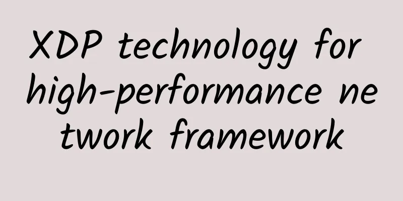 XDP technology for high-performance network framework