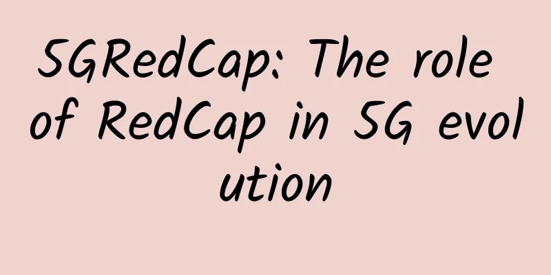 5GRedCap: The role of RedCap in 5G evolution