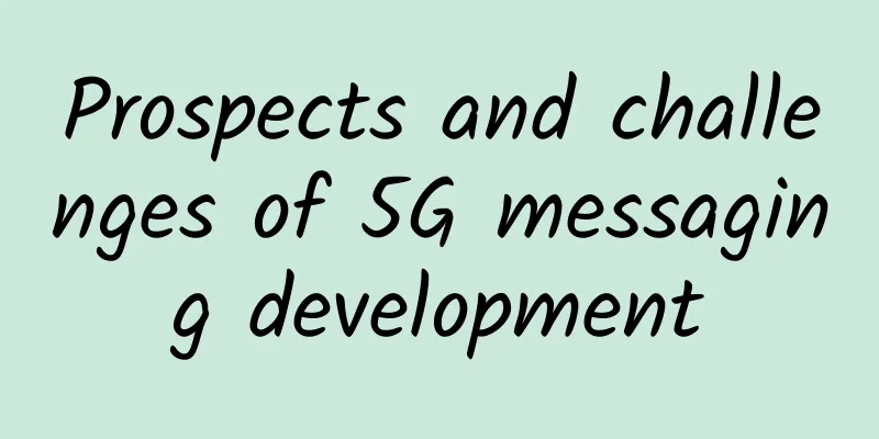 Prospects and challenges of 5G messaging development