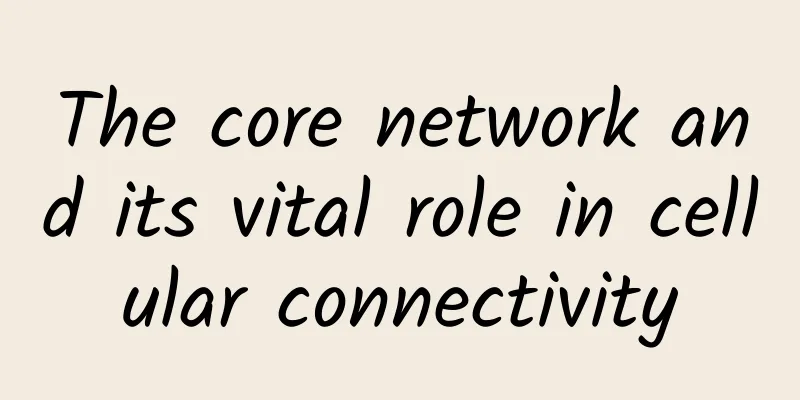 The core network and its vital role in cellular connectivity