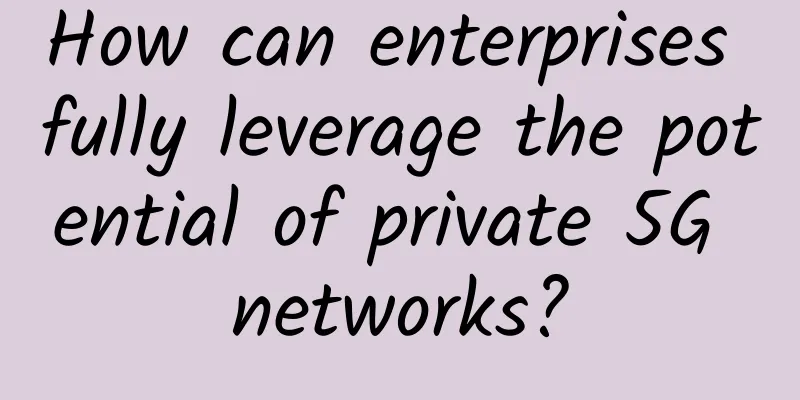How can enterprises fully leverage the potential of private 5G networks?