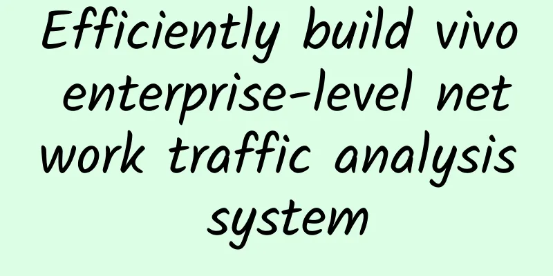 Efficiently build vivo enterprise-level network traffic analysis system