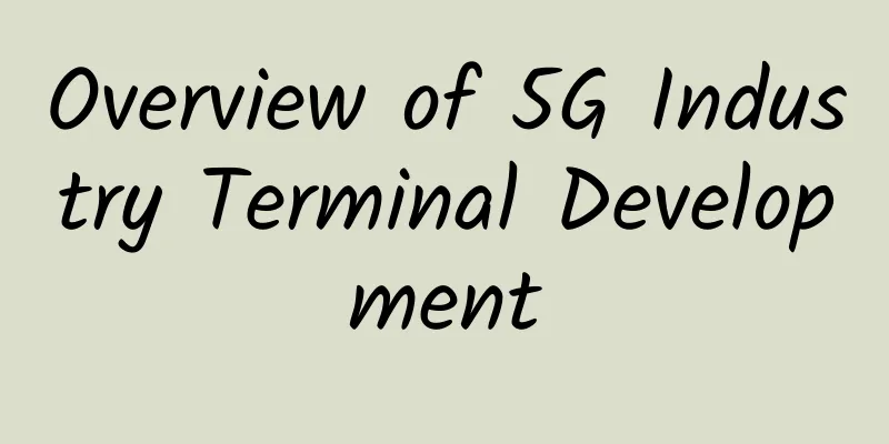 Overview of 5G Industry Terminal Development