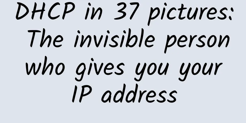 DHCP in 37 pictures: The invisible person who gives you your IP address