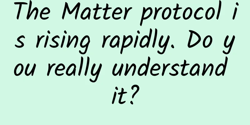 The Matter protocol is rising rapidly. Do you really understand it?