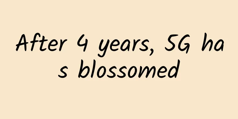 After 4 years, 5G has blossomed