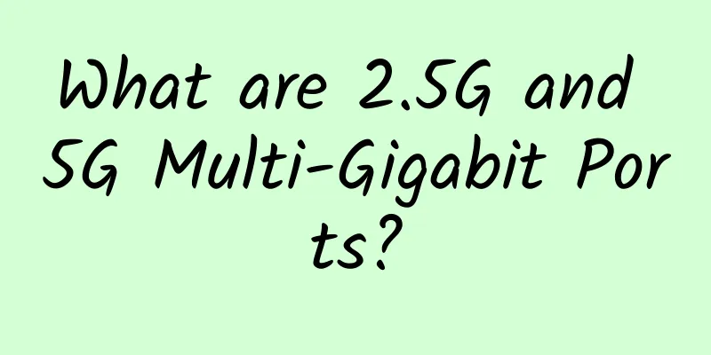 What are 2.5G and 5G Multi-Gigabit Ports?