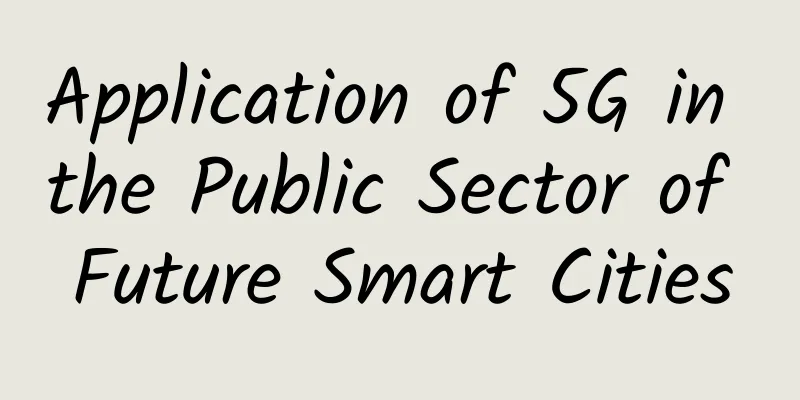 Application of 5G in the Public Sector of Future Smart Cities