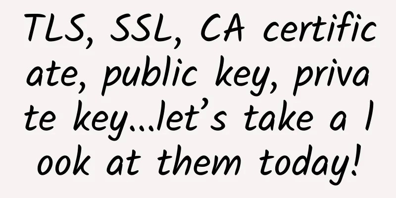 TLS, SSL, CA certificate, public key, private key...let’s take a look at them today!